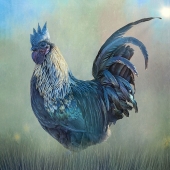 7th-Place-OA-66-pd.-Susan-Paradise-Burke-Big-Blue-.b