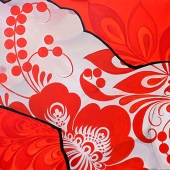 9th-Place-OA-81-POM.-Irina-Tsypilova-Milaya-.yp_