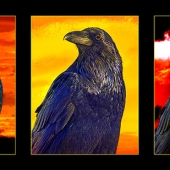 Marlene Barnes - "Raven Triptych” – http://www.myalteredvisions.com/