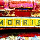 Tracey Lee Cassin - "Morris” – https://traceyleecassin.com/