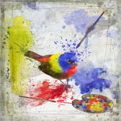 Barbara Mierau-Klein - "Painted Bunting” – http://www.barbaramierauklein.com/