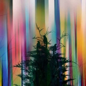 Mary F Wicks Photo Artistry - "Nocturne's Lullaby” – http://www.creekdigitalphotography.com/