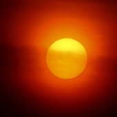 Margaret King - "Morning Sun” – https://inmybackyardmargaretaking.squarespace.com/