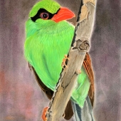 Pamela S Conley - "Javan Green Magpie” – wooconley@gmail.com