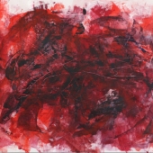 Sidharth Shah - "Anthropogenic Distress on Nestlings” – sid42784@gmail.com