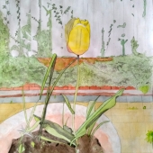 Sara Davies - "Yellow Tulip” – https://www.facebook.com/saradaviesillustrations/