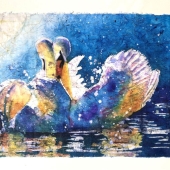 A. Debra R. Schwalm - "Swans in Love” – https://www.debschwalm.com/