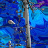 Marcia Berg Haskell - "Linesman Nightmare” – http://marciascreativeworld.com/