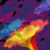 Betty Butler - "Color in Profile” – http://www.bettybutler.net/