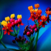 Mary F Wicks Photo Artistry - "Small Steps” – http://www.creekdigitalphotography.com/