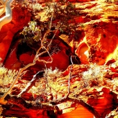 Sue Smith ASSP-ARTS Port Adelaide - "Kings Canyon Northern Territory Australia” – https://assp.suesmithphotography.com.au/