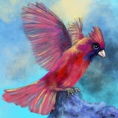 Sherri DioGuardi - "Cardinal in his Prime” – http://sherricrim.wixsite.com/mysite