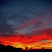 Margaret King - "Sunrise” – https://inmybackyardmargaretaking.squarespace.com/