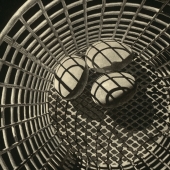 7th-Place-OA-162-POM.-Tara-S-Merkt-Carapace-Cadence-b