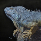 France Bauduin - “Scales and Bark” – http://www.francebauduinart.com/