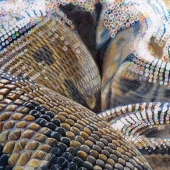 Nancy Honaker - “Serpent Surprise” – http://www.nehonakerart.com/