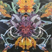 Carole McAlpine - “The Devic Realm” – http://www.artmajeur.com/carolemac7