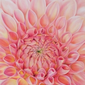 Marie-Jeanne Fawer - “Dahlia Rose” – http://www.mjfawer.ch/