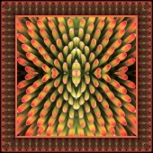 Dick and Rosanne - “Cone Flower Macro” – http://www.dickandrosanne.com/