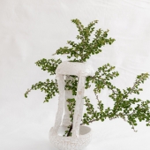 Evgeniia Kazarezova - “The Space Vase” – http://www.zheni.studio/