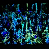 Xavier Bellante - “Tarnished Souls” – xjdb243@gmail.com