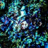 Xavier Bellante - “Cosmic Flesh - in the dark detail” – xjdb243@gmail.com