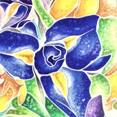 Chen Li-Chen - “Iris Blooming” – anly0939@gmail.com