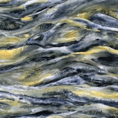 Paula Weech - “Mystery” – pjweech@cox.net