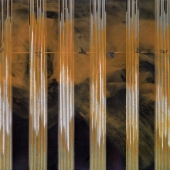 Carol Hanna - “North American Robin's Song and Flight Path” – http://www.carolhanna.com/