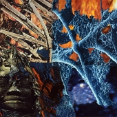 Mark Stewart - “Untitled No. 5” – mjstewart88@yahoo.com