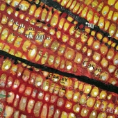 Sarah Schneiderman - “Name Something Yellow #8 (Corn)” – http://sarahschneiderman.com/