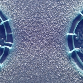 Courtney Brake - “Colonies under Siege” – https://courtneybrake09.wixsite.com/website