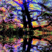 Tom Psinka - “Lake Fantasy” – http://tompsinka.com/