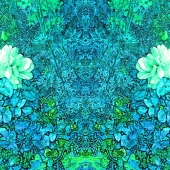 Michael Wagner - “Hidden Forms of Nature (4)” – wagnerbild@online.de