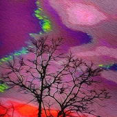 Carlos G Scott - “cgs001” – http://www.carlosgscott.com/