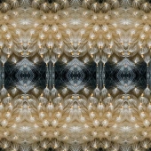 Dick and Rosanne - “Thistle Seed Glyphs” – http://www.dickandrosanne.com/