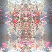 Phoebe Hunter - “Rose Gate” – http://phoebekatherinehunter.com/