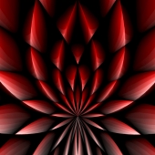 2nd Place – Gareth Jones - “Unfurled” – www.gpjones1.format.com