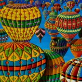 Donna L. Byers – “Flying Colours” – www.bigger-picture-studio.com