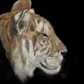 George Ann Johnson –  "Contentment" – www.gajart.com