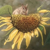 Peggy Paulson – “Chipmunk’s Lunchtime” – www.facebook.com/pegspaintings