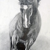 Kristi Richter – “Getting the Fresh Out” –  keddywumpus@yahoo.com