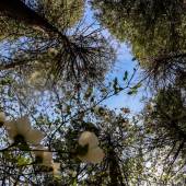 Mariah Connor – “Coming Together” – mariahconnor99@gmail.com