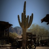 Maria Cupa – “Desert Life” – mickeyjunkie@att.net