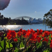 Justin Hook - “Beloved Sydney” – www.justinandrewhook.comydney”