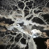 Maureen Ravnik - “The Legend of Owl Hollow” – www.maureenravnik.crevado.com