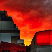 Joe Calleri - “Hawthorn 2019” – www.instagram.com/callerijoe