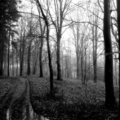 Brian Ashworth - “Hideaway” – www.soitwouldseem.com