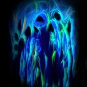 Matthew Jackson - “Blue Monks” – www.eclecticimagesart.com