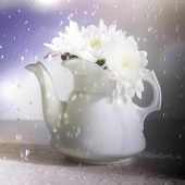 Denise McDermott - “Sun Shower” – www.imagesbydenise.net